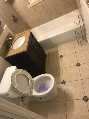 Freshly Cleaned Bathroom