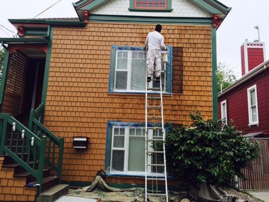 New wood siding, staining, and protecting.