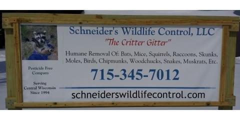 Schneider's Wildlife Control LLC