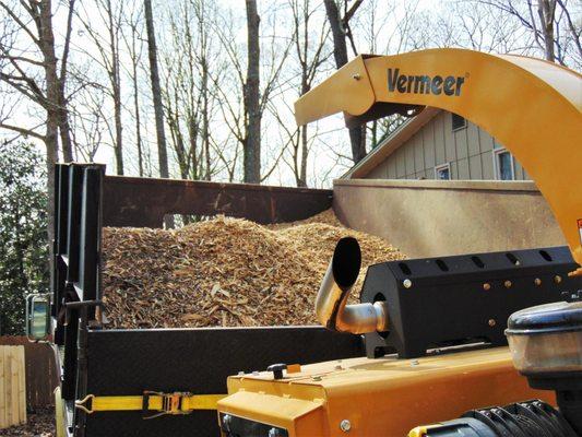 We can chip your debris and haul it away or leave it with you to use as a mulch alternative!