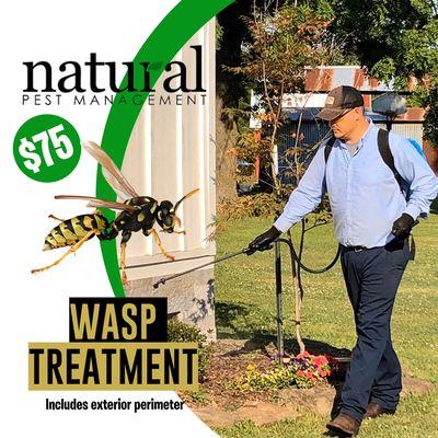 Natural Pest Management