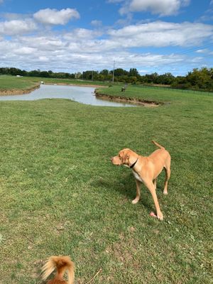 My baby at his favorite park.