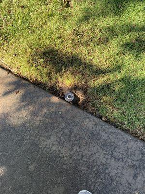 Replaced sprinkler head