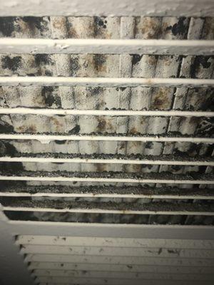 Mildew or mold that the service guy said "oh we didn't replace it"