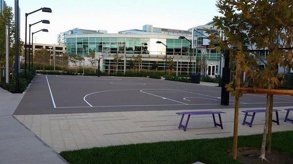 Business Campus in Mountain View Basketball Court