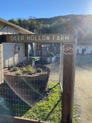 Deer hollow farm