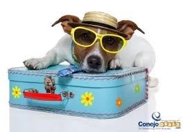 like a vacation for your pet... check out clubparadisepetsalon.com or our facebook page