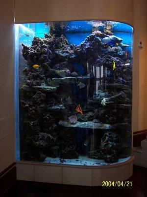 700 Gallon Custom Corner System built and maintained by Fishy Stuff