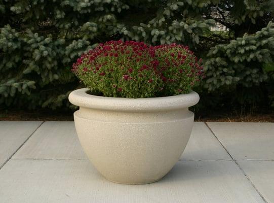 Large Concrete Planters