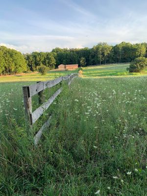 Simply Blessed Farm