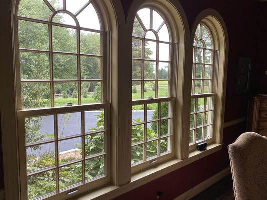 We take on the most tedious windows. Let us clean them so you don't have to!