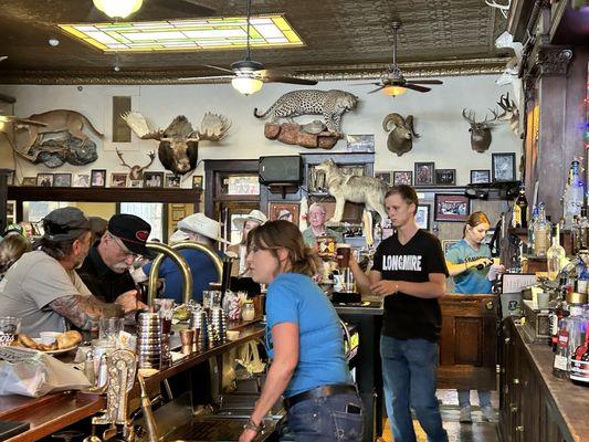 Animals and bartender