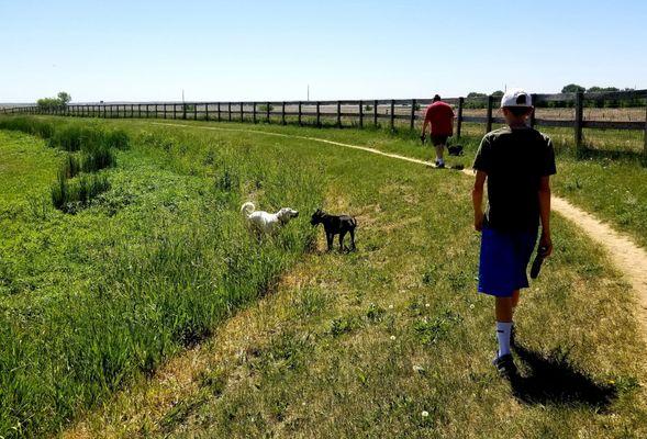 Walking trail