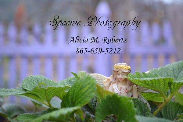 Spoonie Photography