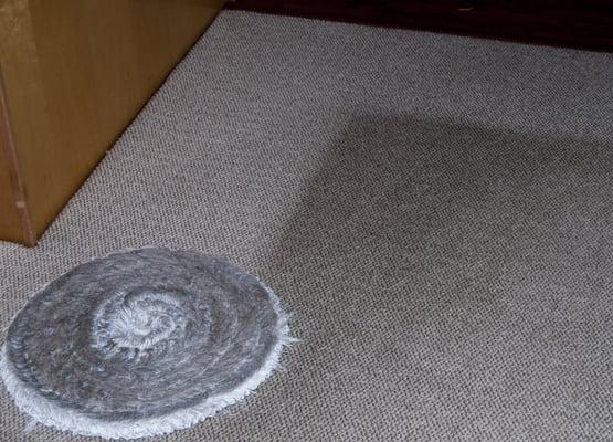 Carpet Cleaning Before/After