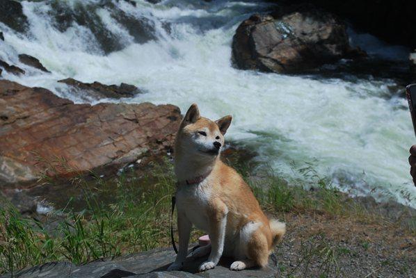 She traveled all over the US and Canada.