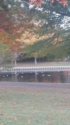 Hall's Pond Park. West Hempstead fall 2015