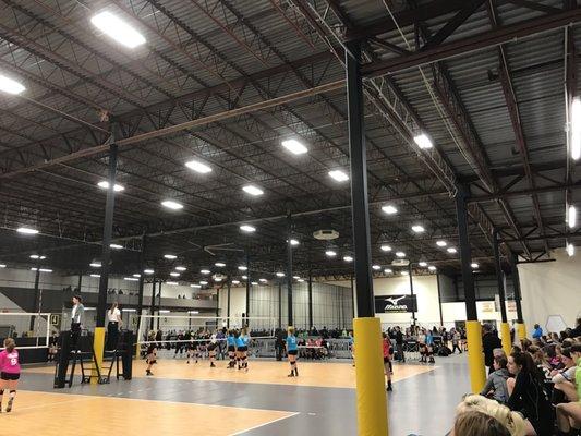 Milwaukee Sting Volleyball Club