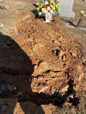 My grandmothers sunken in grave, 8 inches when we measured.