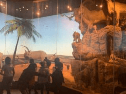 After-School Enrichment Program spring break trip to museum