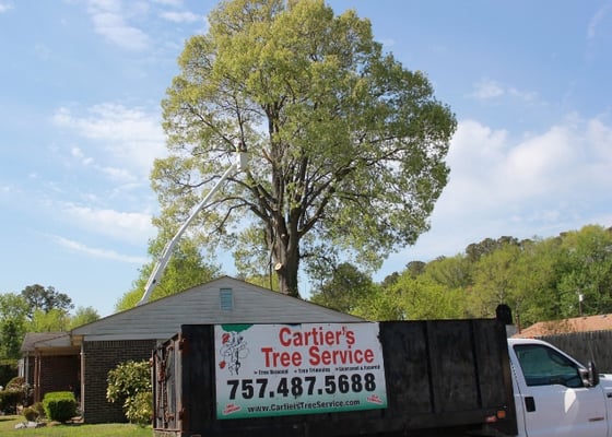 We are a full service professional TREE company that takes pride in our work! Trimming or complete removal we do it all!