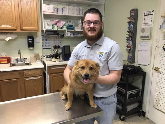 Dr. Jake attending to one of NOLA Animal Clinic's fluffy patients.