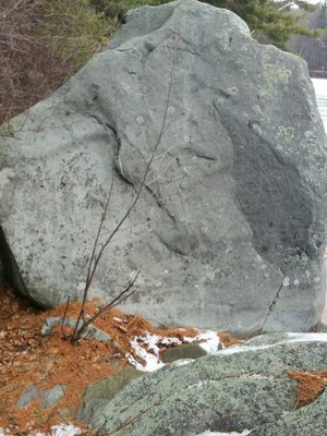 Lots of boulders in the area