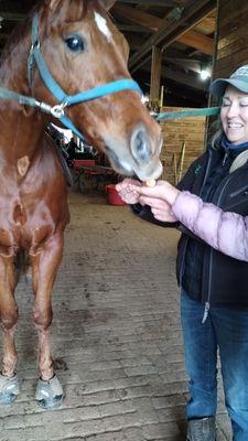 Getting to know the horse.