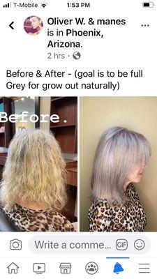 Blonde to silver hair color transformation