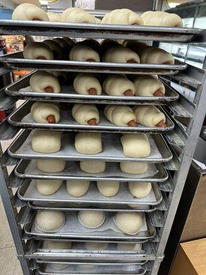 More freshly made buns awaiting to be baked