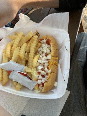 Hot dog and fries