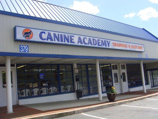 Canine Academy