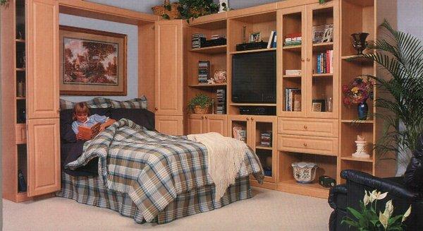 Murphy bed, office, entertainment combo