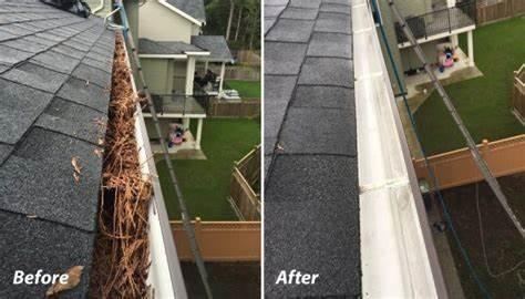 gutter cleaning