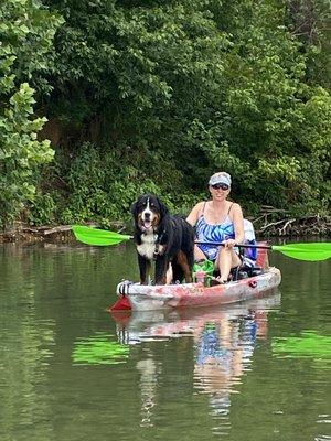 With training your dog can go on adventures with you.  Sean loves his kayak!