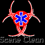 Scene Clean