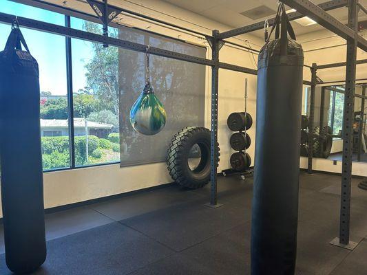 Boxing & Conditioning