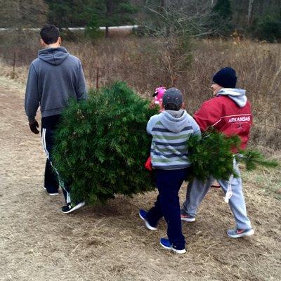 McAlpine Christmas Tree Farm