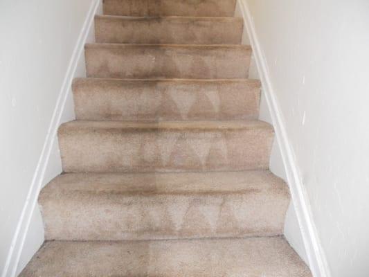 St. Louis Carpet Cleaning