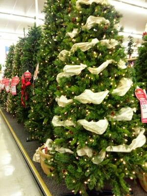 Christmas trees 50% off