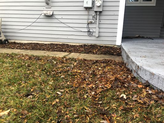 Piles of leaves left - despite having called twice in the same week asking them to not leave a mess behind.