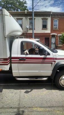 Roxie the Boxer and Lulu the English bull dog love to go on rides to deliver our caskets