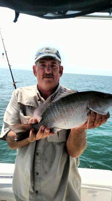 Mangrove snapper