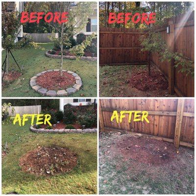 Tree Removal Project