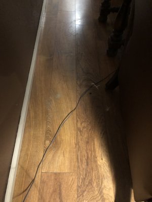 Living room floor behind end table