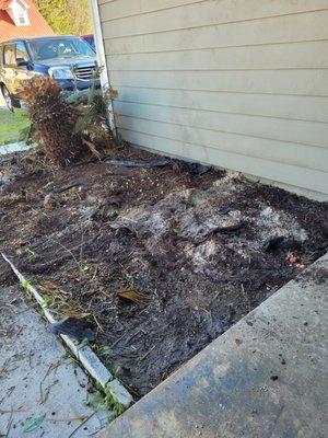 This the other flower bed which I cleared out.