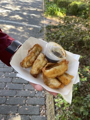 Fried dumplings