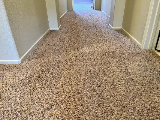 Hallway carpet cleaned well.