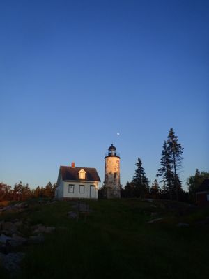 Baker Island Light House, after a thinning project