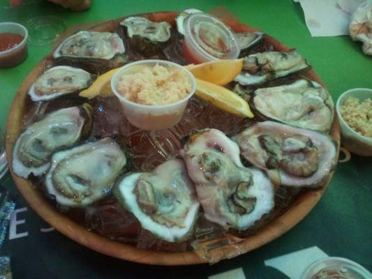 Best oysters in town